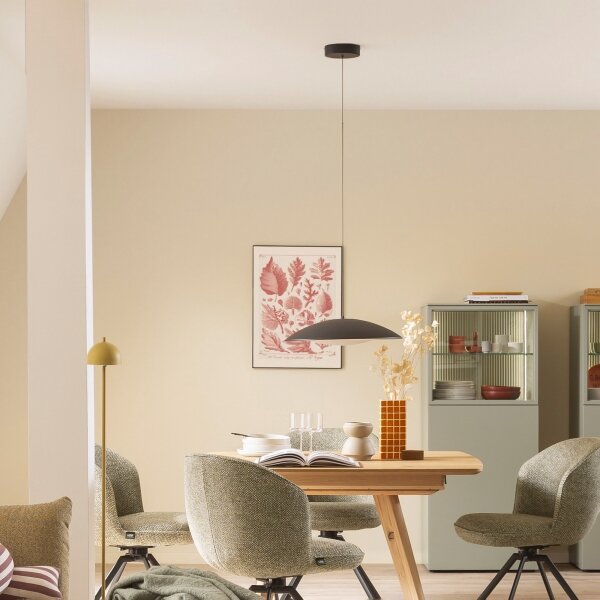 Schöner Wohnen 14606-18-LED stmievateľný závesný luster na lanku LENTE LED/17W/230V pr. 40 cm čierna