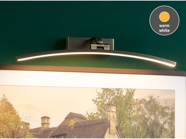 Paulmann 95561 - LED/10 W obrazové svietidlo BENTO 230 V 50 cm mosadz