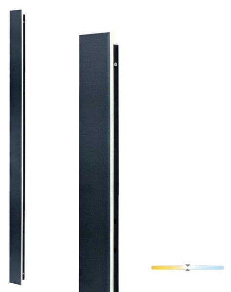 LED vonkajšie nástenné svietidlo MIRANA LED/25W/230V 4000K IP44 120 cm čierne