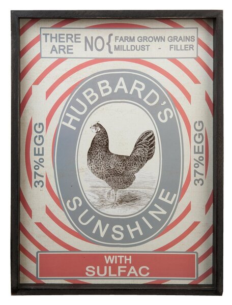 Clayre & Eef Obraz Hubbards Sunshine - 42 * 3 * 58 cm