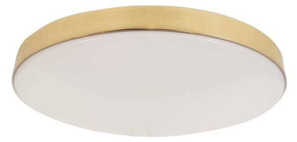 Stropné LED svietidlo MAYA, 1xLED 15W, (biely plast), G