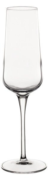 Poháre na šampanské Gusto 6ks 240ml