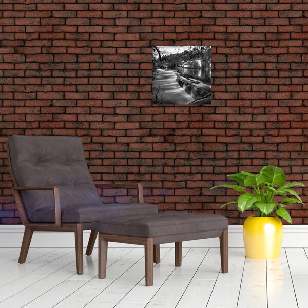 Čiernobiely obraz (Obraz 30x30cm)