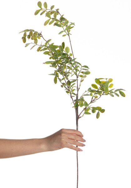 Vetvička Green Twig 100cm