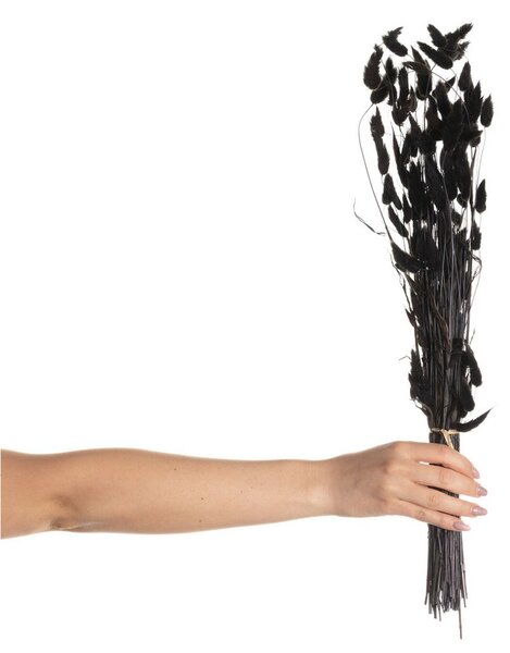 Kytica fúkačiek 60cm dark brown