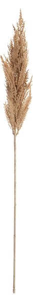 Vetvička trávy pampas 90cm beige