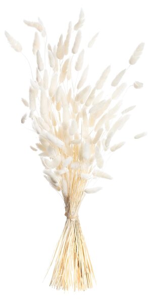 Kytica fúkačiek 60cm cream