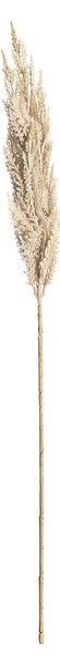 Vetvička trávy pampas 90cm cream