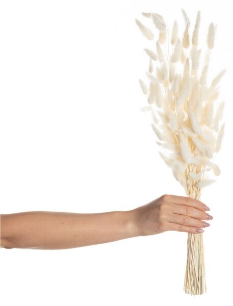 Kytica fúkačiek 60cm cream