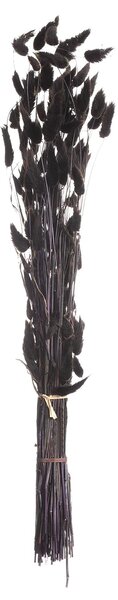 Kytica fúkačiek 60cm dark brown