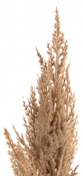 Vetvička trávy pampas 90cm beige