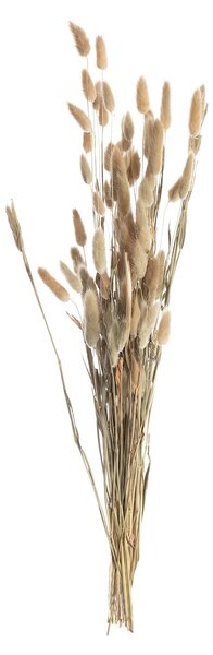 Kytica fúkačiek 60cm beige