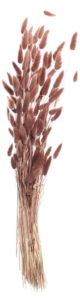 Kytica fúkačiek 60cm dusty pink