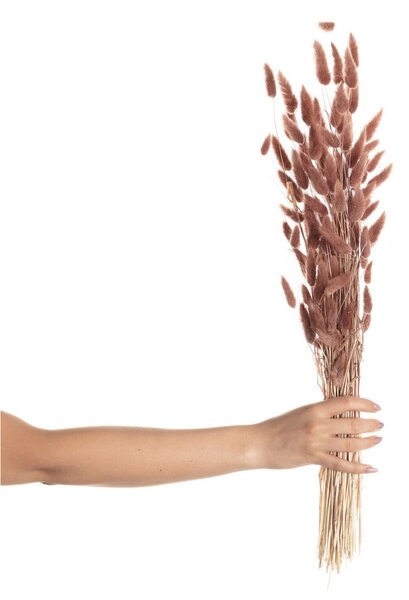 Kytica fúkačiek 60cm dusty pink