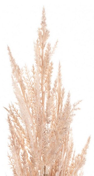 Vetvička trávy pampas 91cm pink