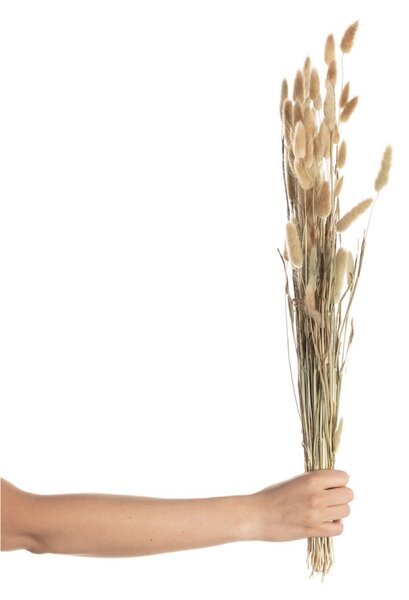 Kytica fúkačiek 60cm beige