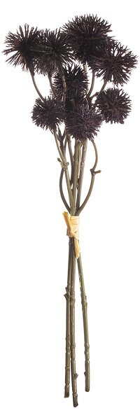 Kytica Kraspedia 30cm deep brown