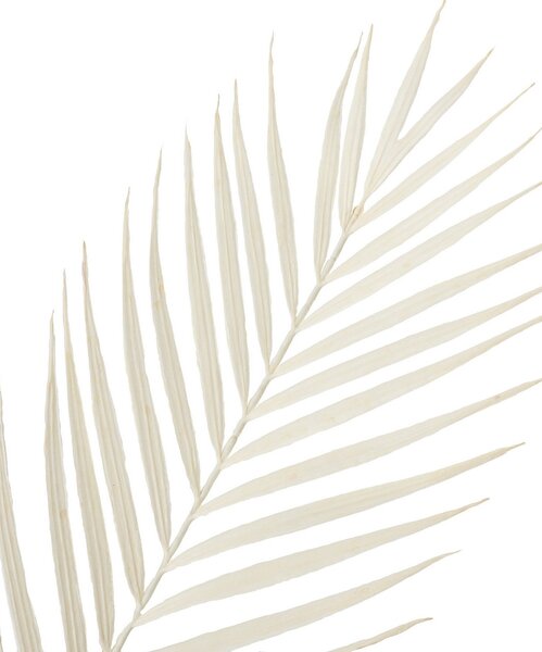 Dekoratívna vetvička Palmera 95 cm white