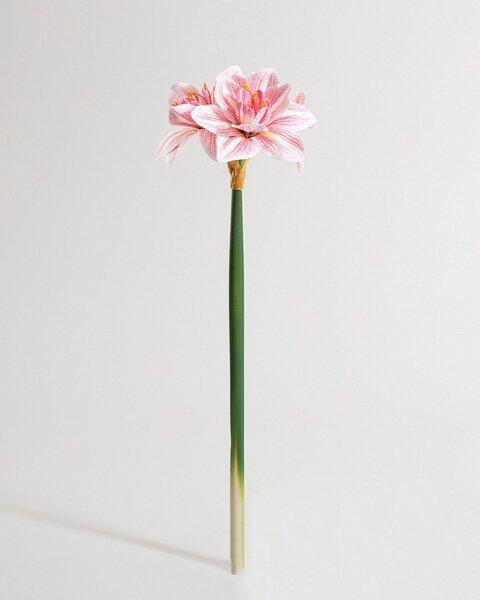 Umelá kvetina Amarylis 62 cm pink