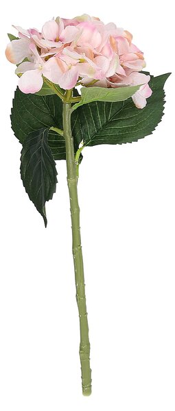 Vetvička hortenzie 50 cm