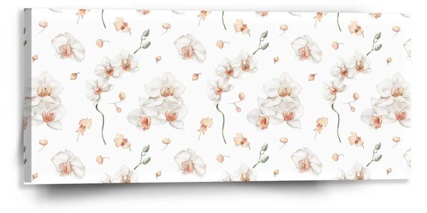 Sablio Obraz Biela orchidea - 110x50 cm