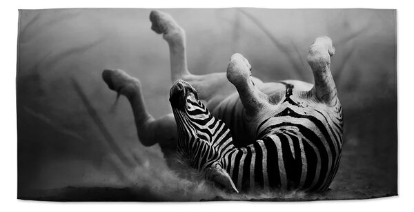 Sablio Uterák Váľajúca sa zebra - 30x50 cm