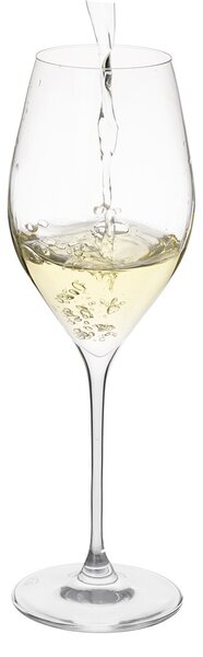 Poháre na Prosecco Swan 0,32 l 6 ks