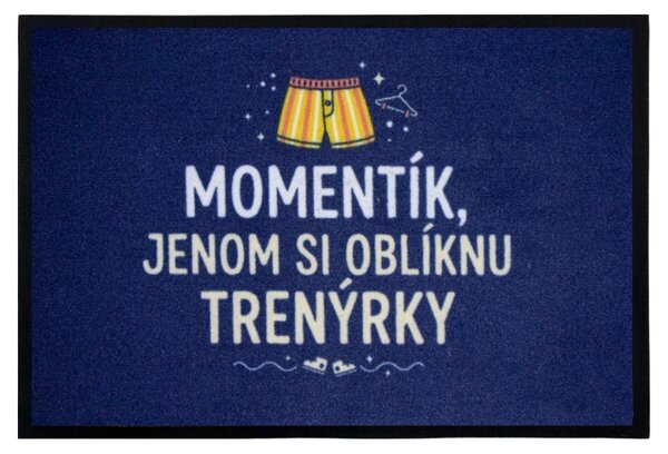 Mercury Flooring, Trenková rohožka 40x60 cm - na von aj na doma, 40x60, modrá