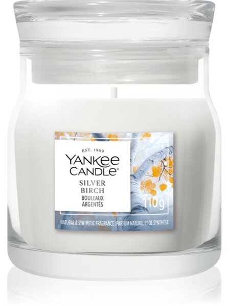Yankee Candle Silver Birch vonná sviečka Signature 110 g