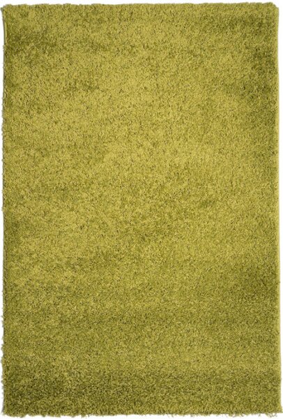 Koberec Efor Shaggy 1903 Green