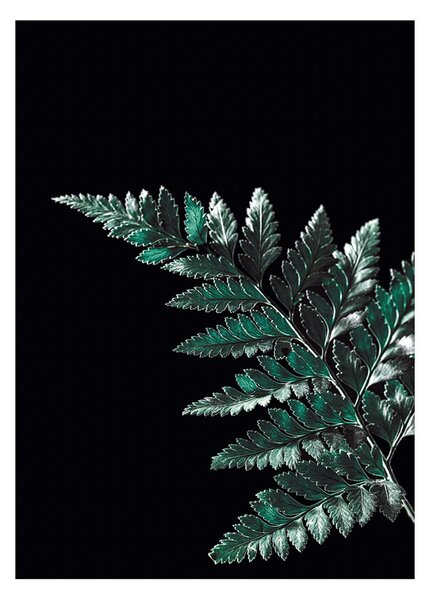 Plagát Dark Leaf