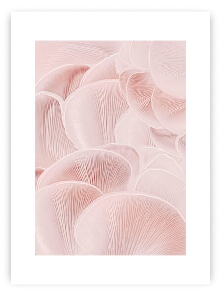 Plagát Pastel Pink I