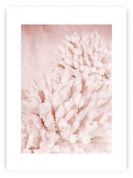Plagát Pastel Pink II