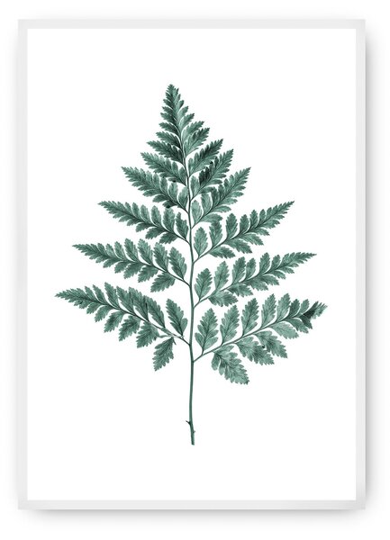Plagát Fern 21 x 30 cm Emerald Green