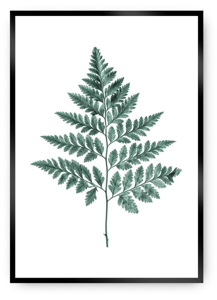 Plagát Fern 21 x 30 cm Emerald Green