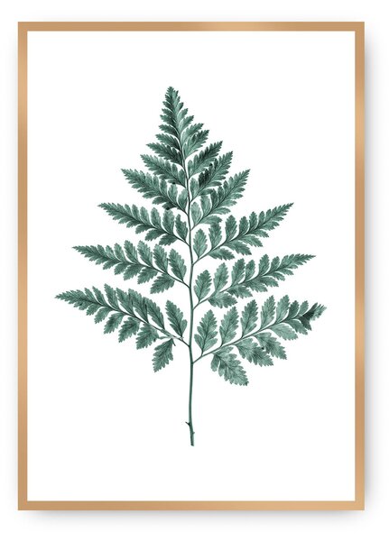 Plagát Fern 21 x 30 cm Emerald Green