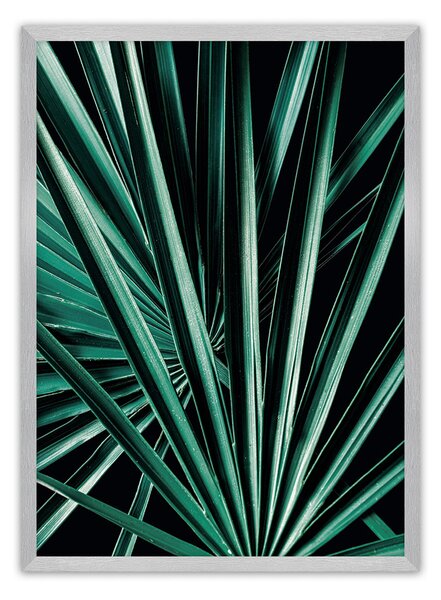 Plagát Dark Palm Tree