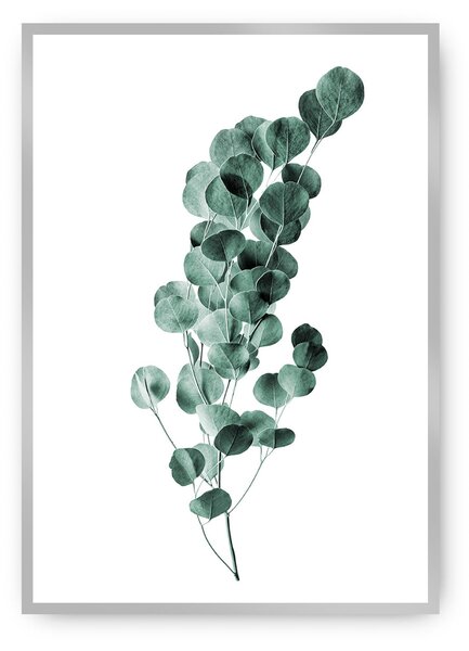 Plagát Eucalyptus Emerald Green
