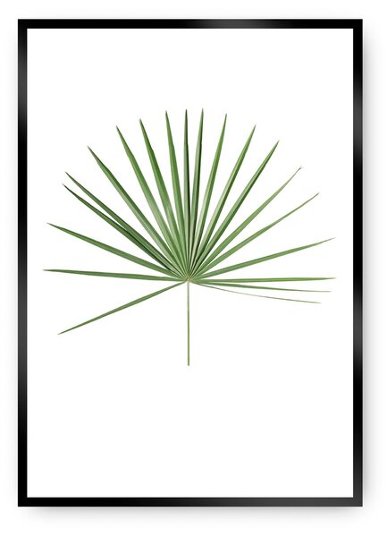 Plagát Tropical Leaf Green