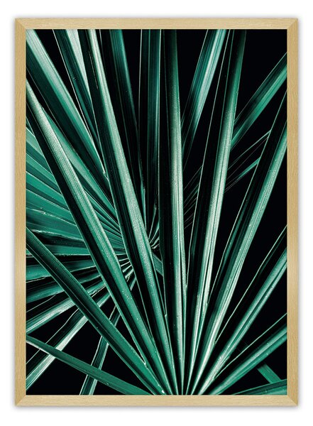 Plagát Dark Palm Tree