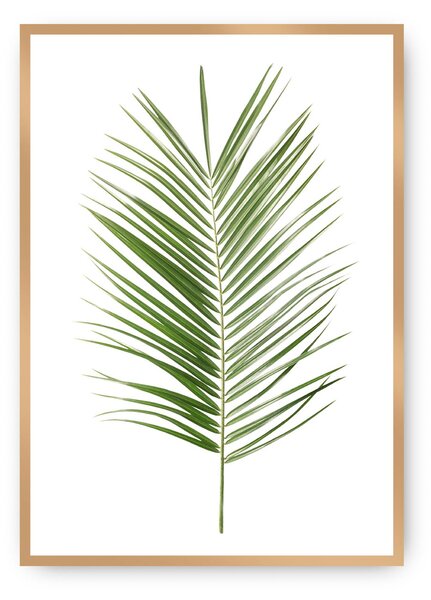 Plagát Palm Leaf Green