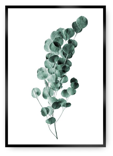 Plagát Eucalyptus Emerald Green