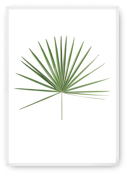 Plagát Tropical Leaf Green