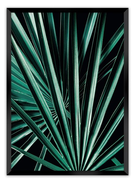 Plagát Dark Palm Tree