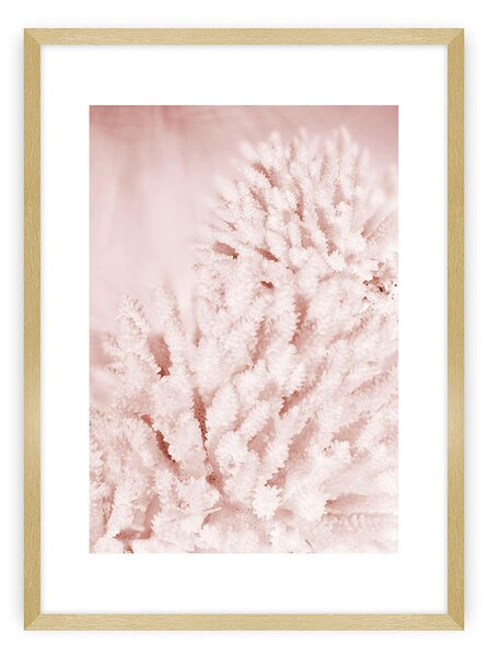 Plagát Pastel Pink II