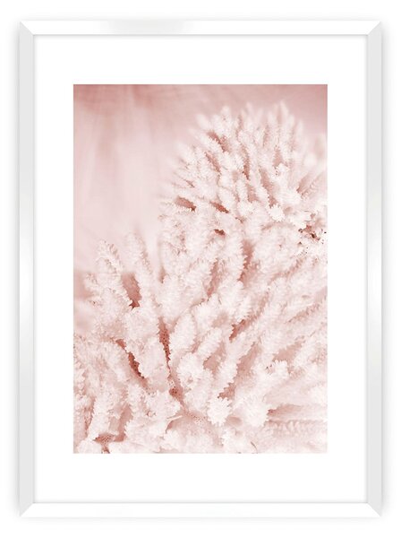 Plagát Pastel Pink II