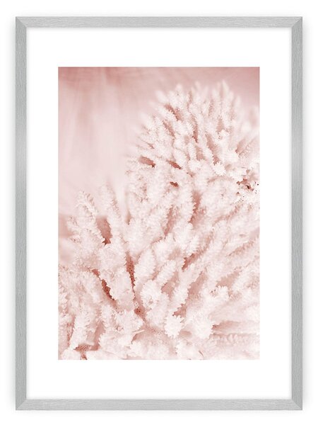 Plagát Pastel Pink II