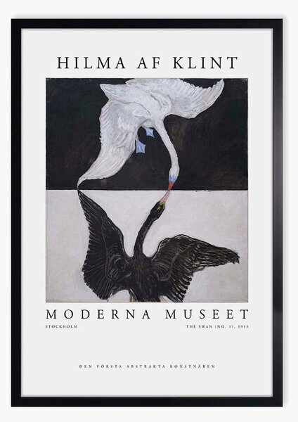 Nástenná dekorácia v ráme The Swan (No. 1)