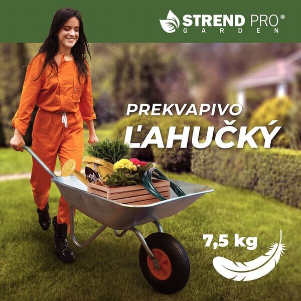 Fúrik EcoLoad, pozinkovaný, korba 65 lit, demont