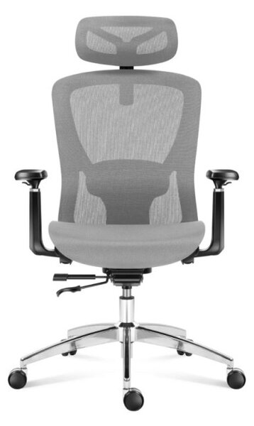 Kancelárska stolička Expert 5.3 Grey Mesh